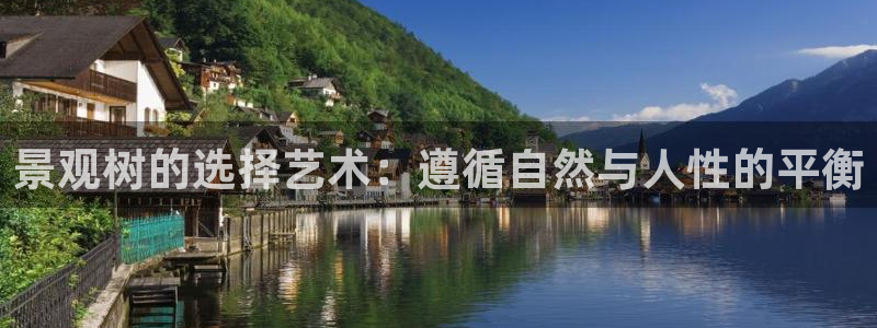 新宝gg下载官网下载:景观树的选择艺术:遵循自然与人性的平衡