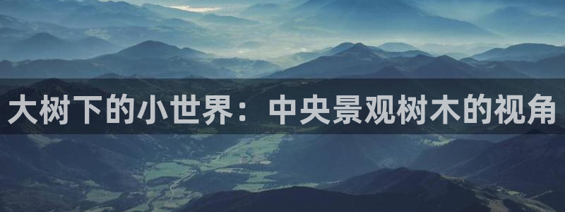 新宝创造Gg:大树下的小世界:中央景观树木的视角