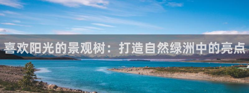 新宝3和新宝gg:喜欢阳光的景观树:打造自然绿洲中的亮点