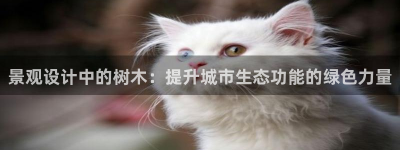 11新宝gg:景观设计中的树木:提升城市生态功能的绿色力量