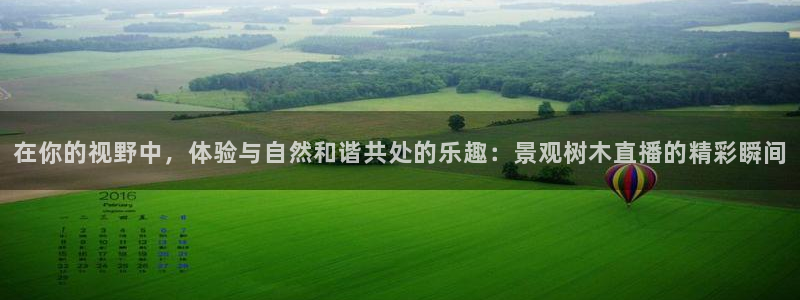 新宝GG股东:在你的视野中,体验与自然和谐共处的乐趣:景观树木直播的精彩瞬间