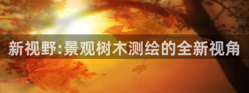 新宝GG程355051:新视野:景观树木测绘的全新视角